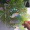 Rainbow Window Stickers Glue Free for Home Static Film PVC Decorative Art D
