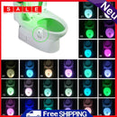 Car Motion Sensor Activated Bathroom Toilet Night Light 24 Color Change LED Laundry Room