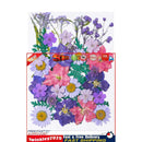 Dried Flower Material Package Real Pressed Dry Flowers & Leaves (Purple) Newly