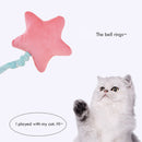 Squeak Chew Bite Dog Soft Plush Five-pointed Star Cat BB Sound Toys Pet Products