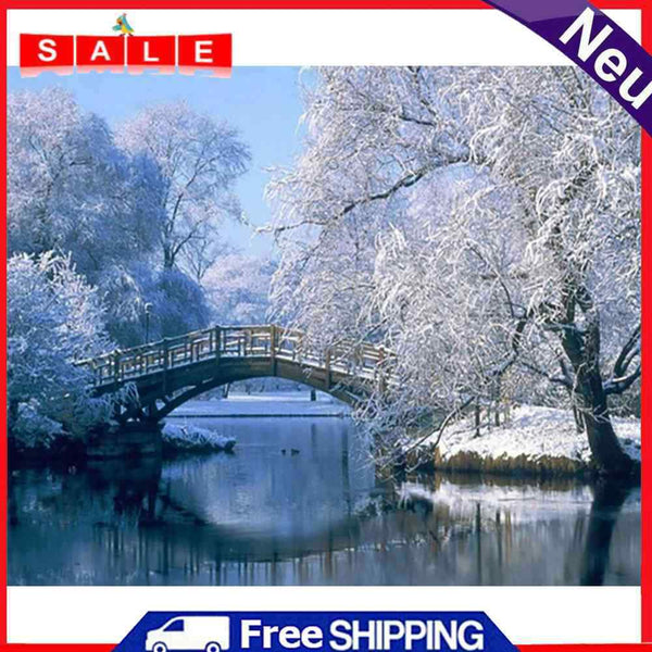 Snow by Lake Oil Canvas Picture DIY Paint By Numbers Kit Hand Painted Art Decor