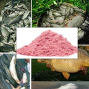 20g Strawberry Flavor Additive Carp Fishing Fishing Scent Bait Making C0I6 E0Y1
