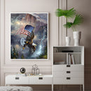 Flag Eagle Oil Paint By Numbers Kit DIY Acrylic Painting on Canvas Frameles