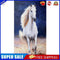 White Horse Oil Paint By Numbers Kits DIY Handpainted on Canvas Wall Art