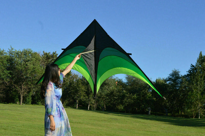 Large Delta Kite For Kids And Adults Single Line Easy Kite w Fly Handle To S9S8