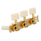 Classical Guitar String Button Three Connections Tuning Pegs