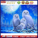 5D Full Round Diamond Painting White Owl Rhinestone Mosaic Home Wall Craft