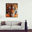 Painting By Numbers Kit DIY Quiet Tiger Canvas Oil Wall Art Picture Ornaments