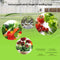100pcs Biodegradable Nursery Plant Grow Bag Seedling Grow Pouch (18x20cm) Newly