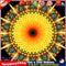 5D Full Round Drill Diamond Painting Mandala Mosaic Wall Art Craft (A675) Newly