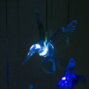 Solar LED Color Changing Wind Chime Lamps Hummingbird Pendant Lights (A) Newly