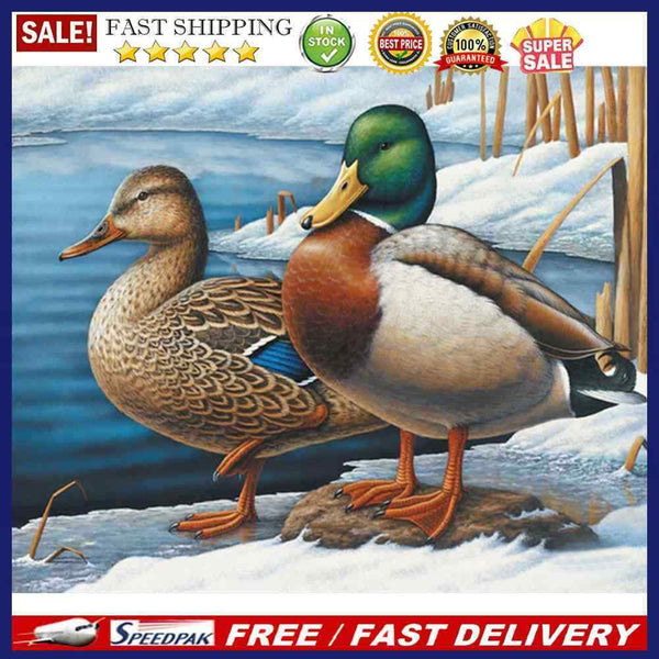Lakeside Duck Oil Paint By Numbers Kit DIY Acrylic Painting on Canvas Frame