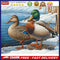 Lakeside Duck Oil Paint By Numbers Kit DIY Acrylic Painting on Canvas Frame