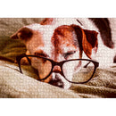 Educational Jigsaw Toys 1000pcs DIY Glasses Sleeping Dog Puzzle for Kids Ad