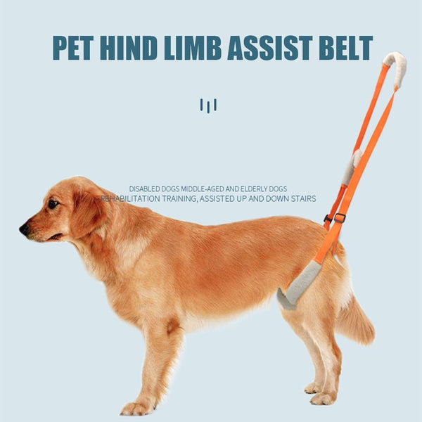 Dog Dog Walking Dog Lifting Belt Pet Auxiliary Belt Pet Lift Support Harness