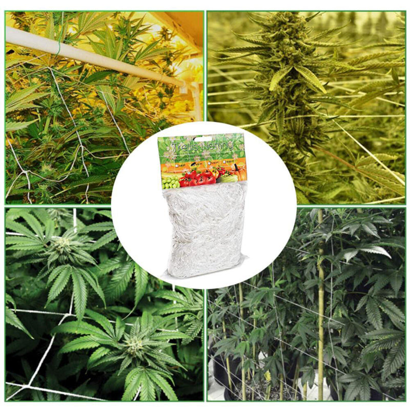 1.67x5m Garden Plants Climbing Net Polyester Cucumbers Vine Stand Trellis Net