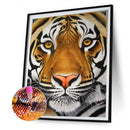 5D Diamond Painting DIY Abstract Animal Full Round Drill Home Decoration Gift