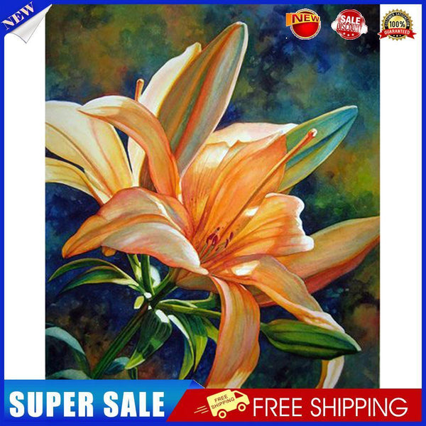 Special Flower 40x50cm Oil Paint By Numbers Picture DIY Painting M423