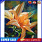 Special Flower 40x50cm Oil Paint By Numbers Picture DIY Painting M423