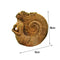 Ammonite Woman Ancient Spirit Mini Statue Desktop Decor Ornament S1J5