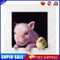 Pig and Chick Oil Paint By Numbers Kits Canvas Picture DIY Wall Art Craft