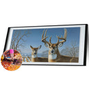 5D Full Round Drill Diamond Painting Kit Deer Snow House Decor for Adults