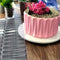 Transparent Plastic Birthday Cake Chocolate Printing Mold O. Cake Tool Z0I9 G7D6