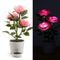 #A 3LED Rose Flower Solar Light Bonsai Flowerpot Garden Home Office Table Lamp