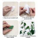 10pcs Plant Bracket Invisible Wall Vine Climbing Fixed Buckle Clamp Clip Holder