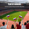 Stick Flag - 12 Pack Hand Held Small Flag Banners on Stick Festival Decorations