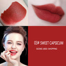 Silky Chocolate Matte Lip Glaze Gloss Velvet Non-fading Long-Lasting Lipstick