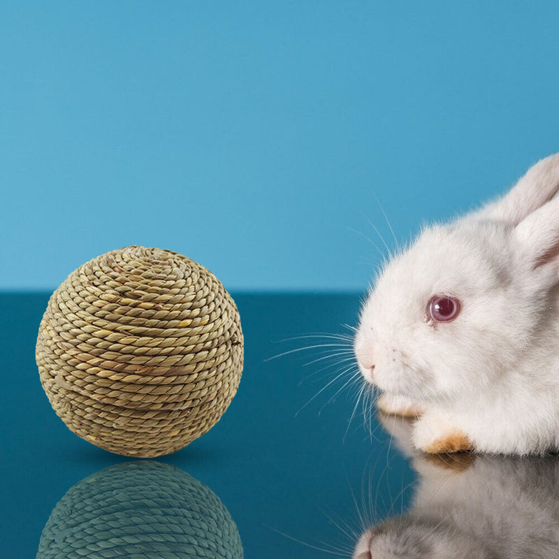 Small Animal Chew Grass Ball Pet Hamster Molar Tooth Clean Balls (Straw) Newly