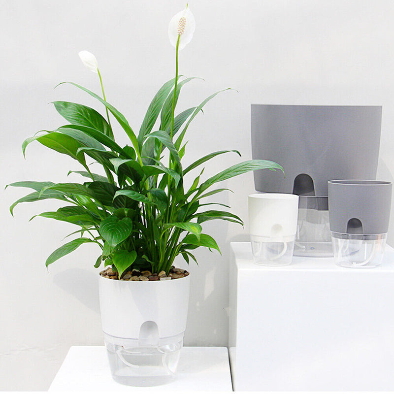 2 Layer ABS Flowerpot Self Watering Plant Container w/Water Tank (15.3cm) Newly