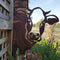 Garden Ornament Rusty Animal Scout Stakes Metal Silhouette Statue (Cow) Newly