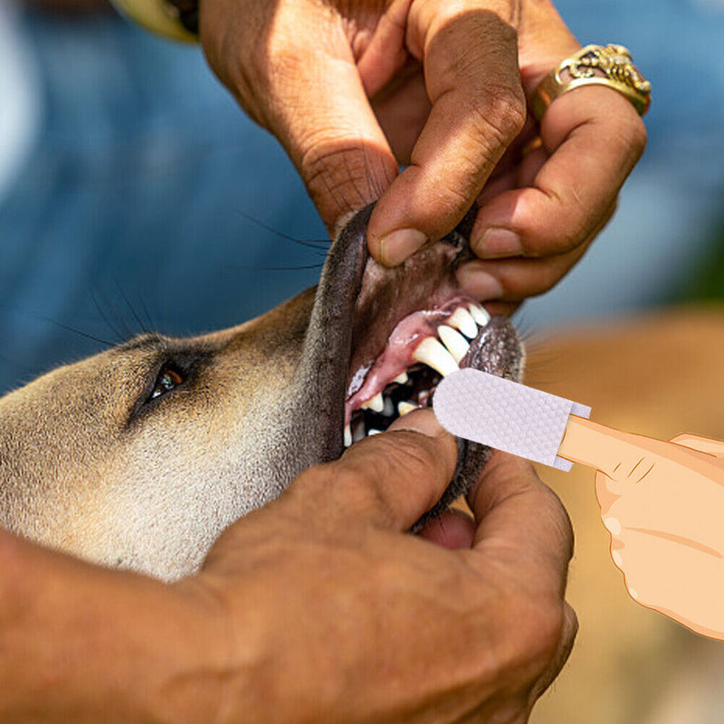 20pcs/set Finger Cover Remove Tartar Non-woven Finger Cot Oral Care Pet Suppl