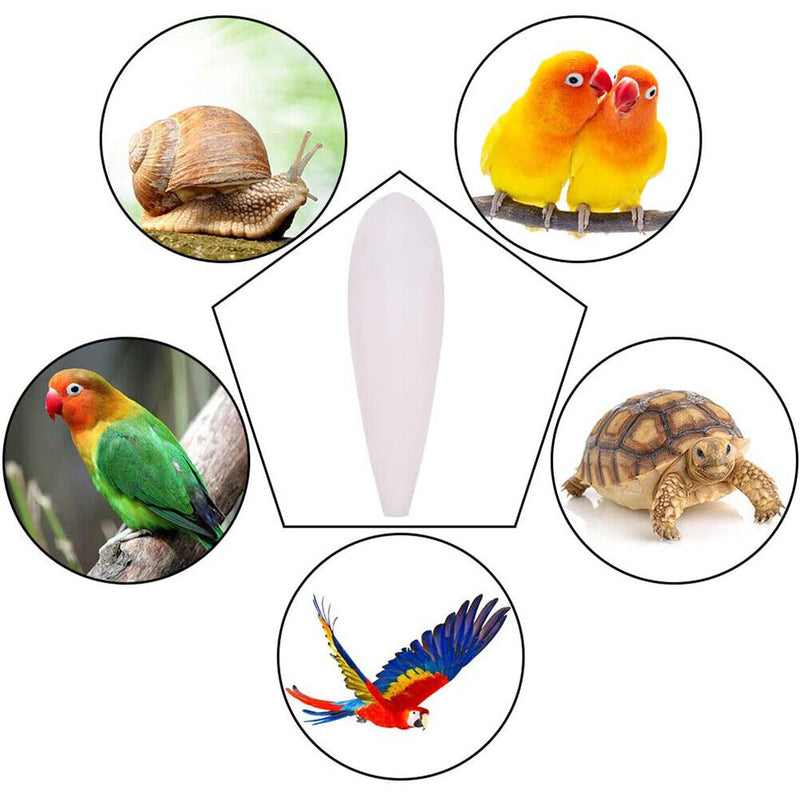 Cuttlefish Bone Parrot Chew Toys Bird Food Calcium Cuttle Bone Toys (6-9cm)