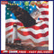 DIY Paint by Number Kit Artcraft Unique Gift Eagle with Banner Kill Time Tool