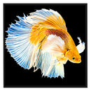 DIY Goldfish Pattern Full Cross Stitch Kits Stamped Canvas 11CT Embroidery Gift