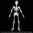 Halloween Luminous Skeleton Decor Full Body Movable Joints Skeleton Party Prop