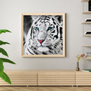 5D DIY Round Drill Diamond Painting White Tiger Kit Rhinestone Drawing Ornaments