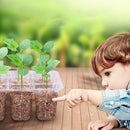 10pcs Seed Starter Tray Kit Garden Nursery Seedling Germination Box (Black)