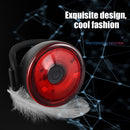 Waterproof USB LED Rear Tail Bike Light Bicycle Cycling Sports Lamp w/2 Battery