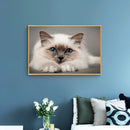 Drill Point Handicraft 5D Burmese Cat Full Drill Diamond Painting for Wall Gift