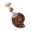 Fossil Stone Pendant Tiger Eye Stone Beads Cabochon Conch Shell Stone Pendant