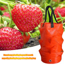 Plant Grow Bag 3 Gallons Strawberry Tomato Gardens Planting Pouch (Orange) Newly