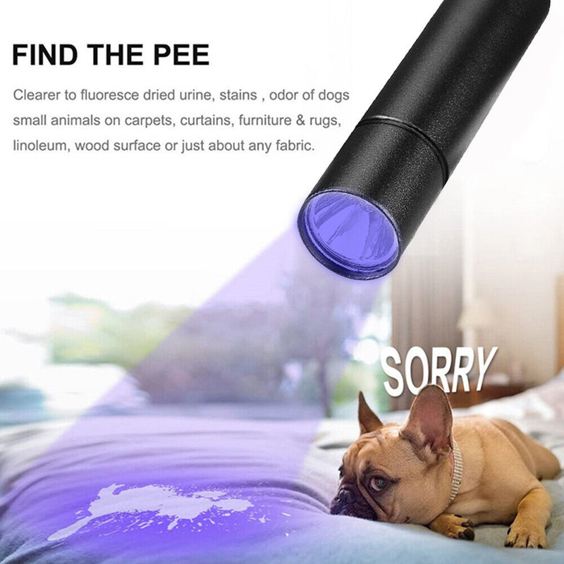 Waterproof 365nm Ultraviolet Flashlight XPE LED 150LM Torch for Money Detect