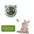 Catnip Ball Cat Toys Licking Teeth Chewing Pet Training Bite Balls (Grey)