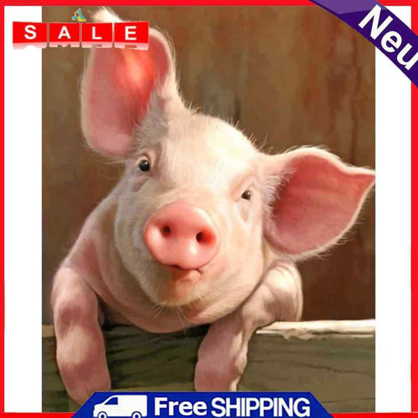 Painting By Numbers DIY Pig Room Wall Picture Hand Painted Home Handwork Craft
