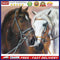 (DF3784) 5D DIY Full Drill Diamond Painting Horse Cross Stitch Mosaic Kit (w1452
