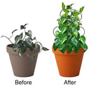 Metal Flower Vegetables Climbing Frame Fixing Rod Plant Support Climbing Holder